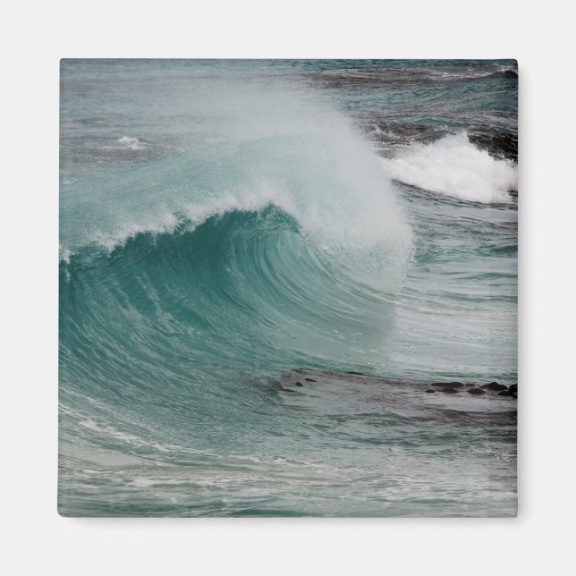 Wave Breaker In Tasmania Magnet (Front)
