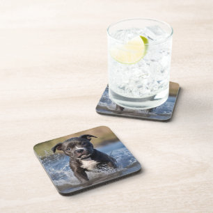 "Wave Chaser: A Staffy Puppy at Play in the Ocean" Coaster