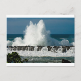 Wave Crashing over Shark's Cove Postcard