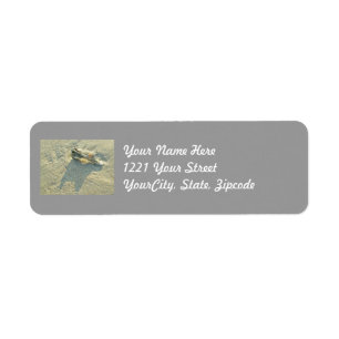 Wave-Washed Shell Adress Label Return Address Label