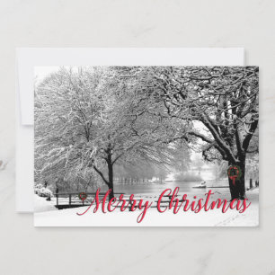 Waverly Park Christmas Card