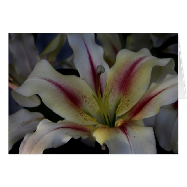 Waves (Front Horizontal)