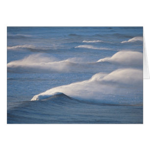 Waves