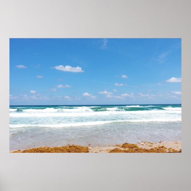 WAVES BRINGING IN THE SEAWEED POSTER (Front)