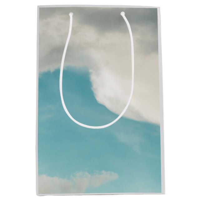 waves in all ways medium gift bag (Front)