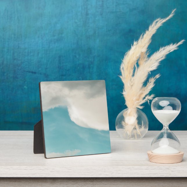 waves in all ways plaque (Insitu)