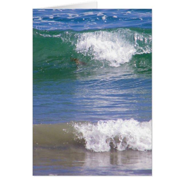 Waves of Two (Front)