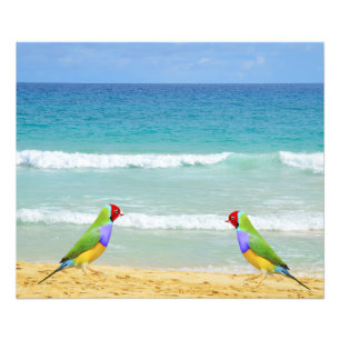 waves, sky and surf on boa vista beach photo print