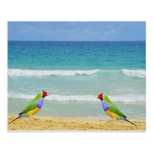 Waves, sky and surf on Boa Vista beach Poster