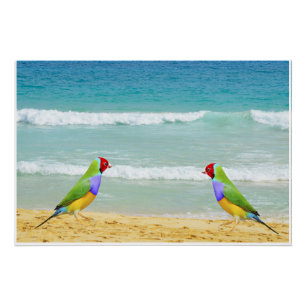waves, sky and surf on boa vista beach poster