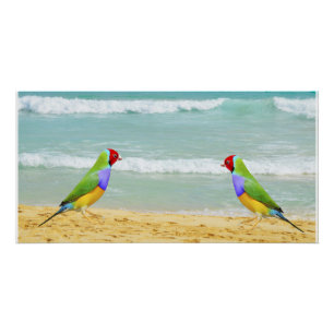waves, sky and surf on boa vista beach poster