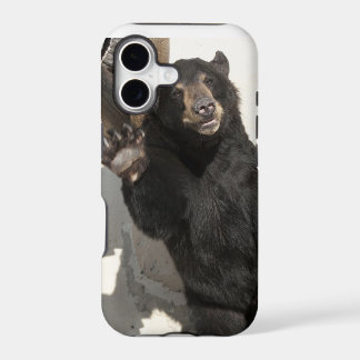Waving Bear
