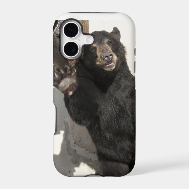 Waving Bear (Back)