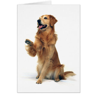 Waving Golden Retriever
