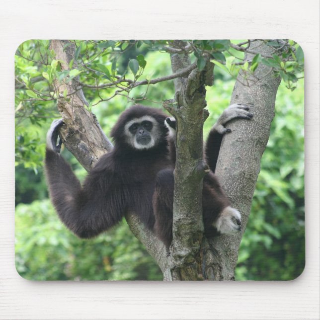 Waving monkey mouse pad (Front)