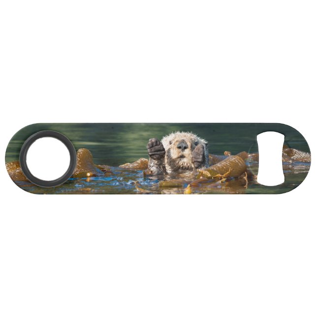Waving Sea Otter (Front (Horizontal))