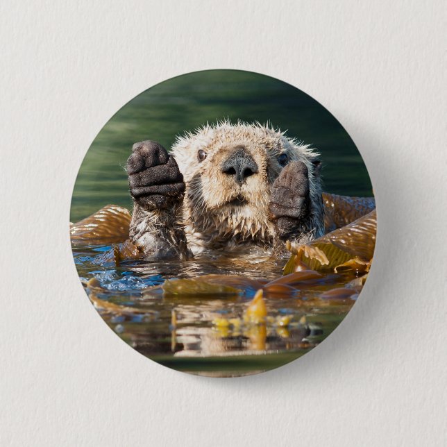 Waving Sea Otter 6 Cm Round Badge (Front)