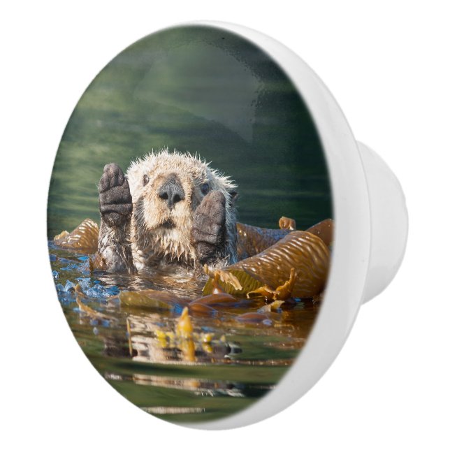 Waving Sea Otter Ceramic Knob (Right)