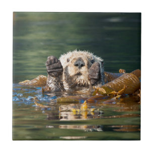 Waving Sea Otter Ceramic Tile