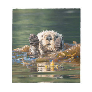 Waving Sea Otter Notepad