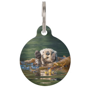 Waving Sea Otter Pet Tag