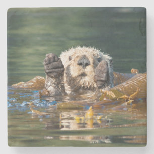 Waving Sea Otter Stone Coaster