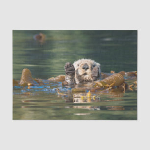 Waving Sea Otter Tissue Paper