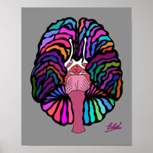 Wavy line coloured brain poster