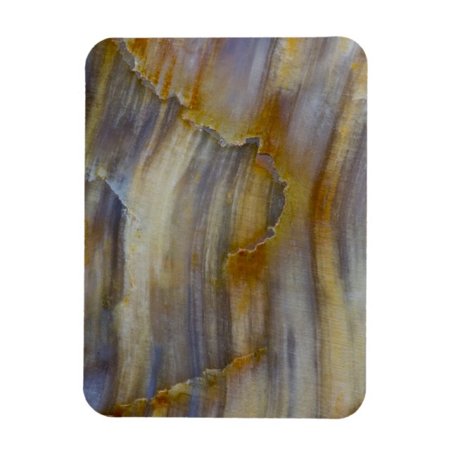 Wavy Petrified Wood Magnet (Vertical)