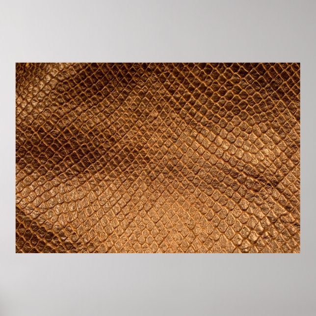 Wavy texture background bronze snake leatherleathe poster (Front)