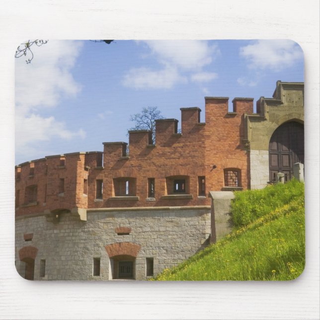 Wawel Castle, Krakow, Poland Mouse Pad (Front)
