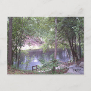 Way down upon a Suwannee River white Springs Fl. Postcard