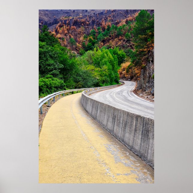 Way of Saint James  Poster (Front)