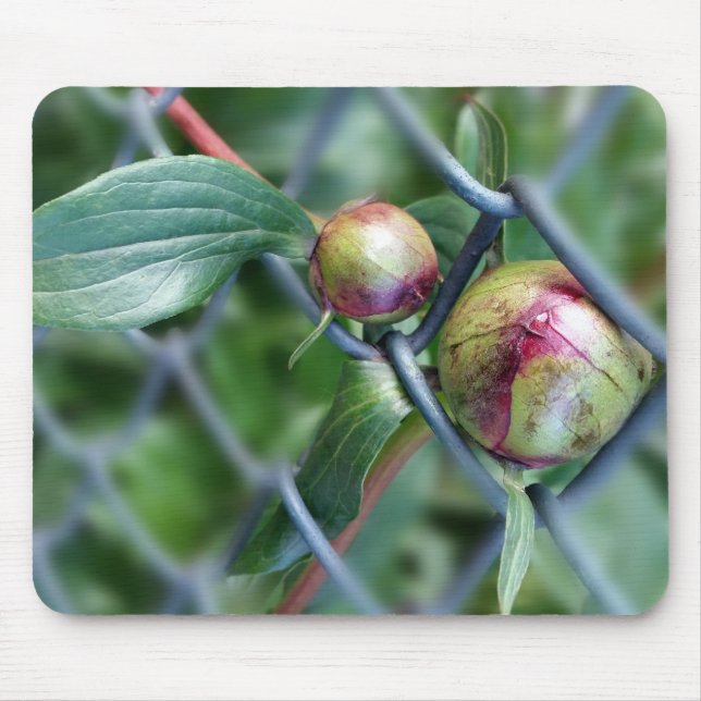 way through fence mouse pad (Front)