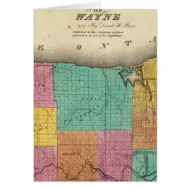 Wayne County (Front)