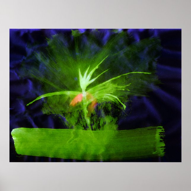 WDV - 068 - Flower Poster (Front)