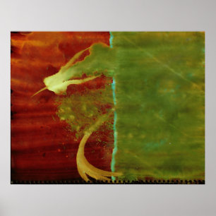 WDV - 186 - Barrier Poster