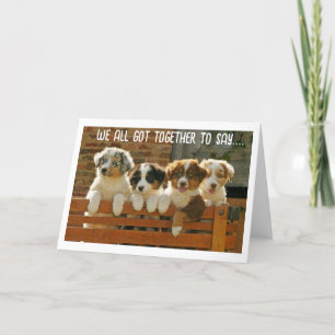 WE ALL GOT TOGETHER TO SAY "CONGRATULATIONS" HOLIDAY CARD