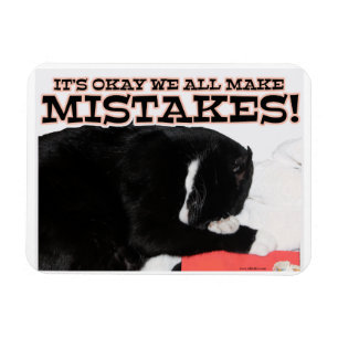 We All Make Mistakes Encouragement Cat Magnet