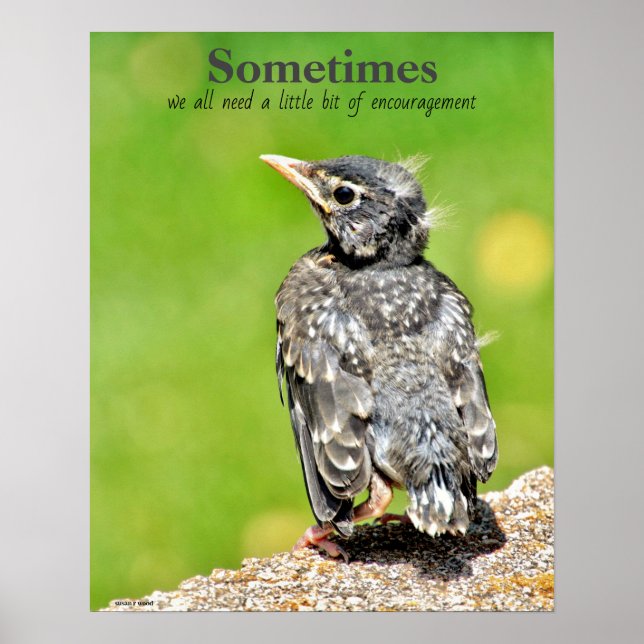 We All Need Encouragement Classroom Poster (Front)