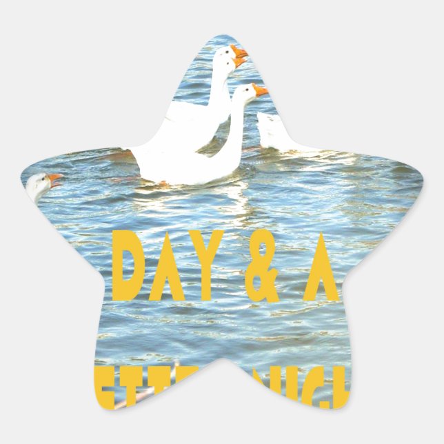 We always leave our customers happy & satisfied. star sticker (Front)