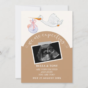 We Are Expecting Brown Pregnancy Sonogram Card