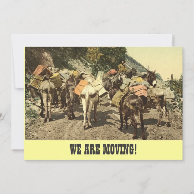 We are moving announcement (Front)