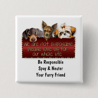 We Are Not Disposable Please Spay & Neuter 15 Cm Square Badge