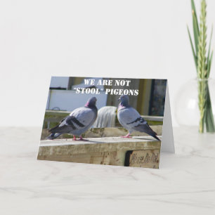 WE ARE NOT STOOL PIGEONS CARD