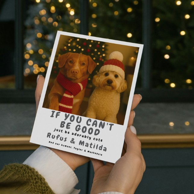 We Are on The Naughty List Dog Christmas Photo Holiday Card (We Are on The Naughty List Dog Christmas Photo Holiday Card by Ricaso. Paw print pattern on back)