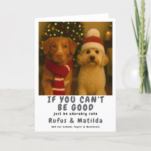 We Are on The Naughty List Dog Christmas Photo Holiday Card