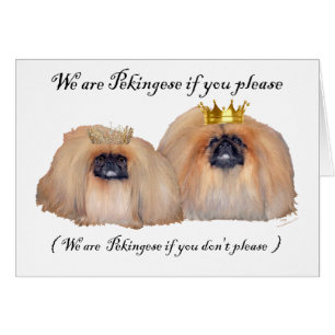 We are Pekingese