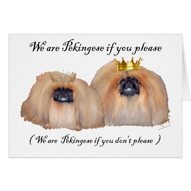 We are Pekingese (Front Horizontal)