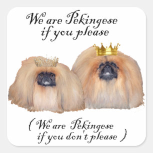 We are Pekingese Square Sticker